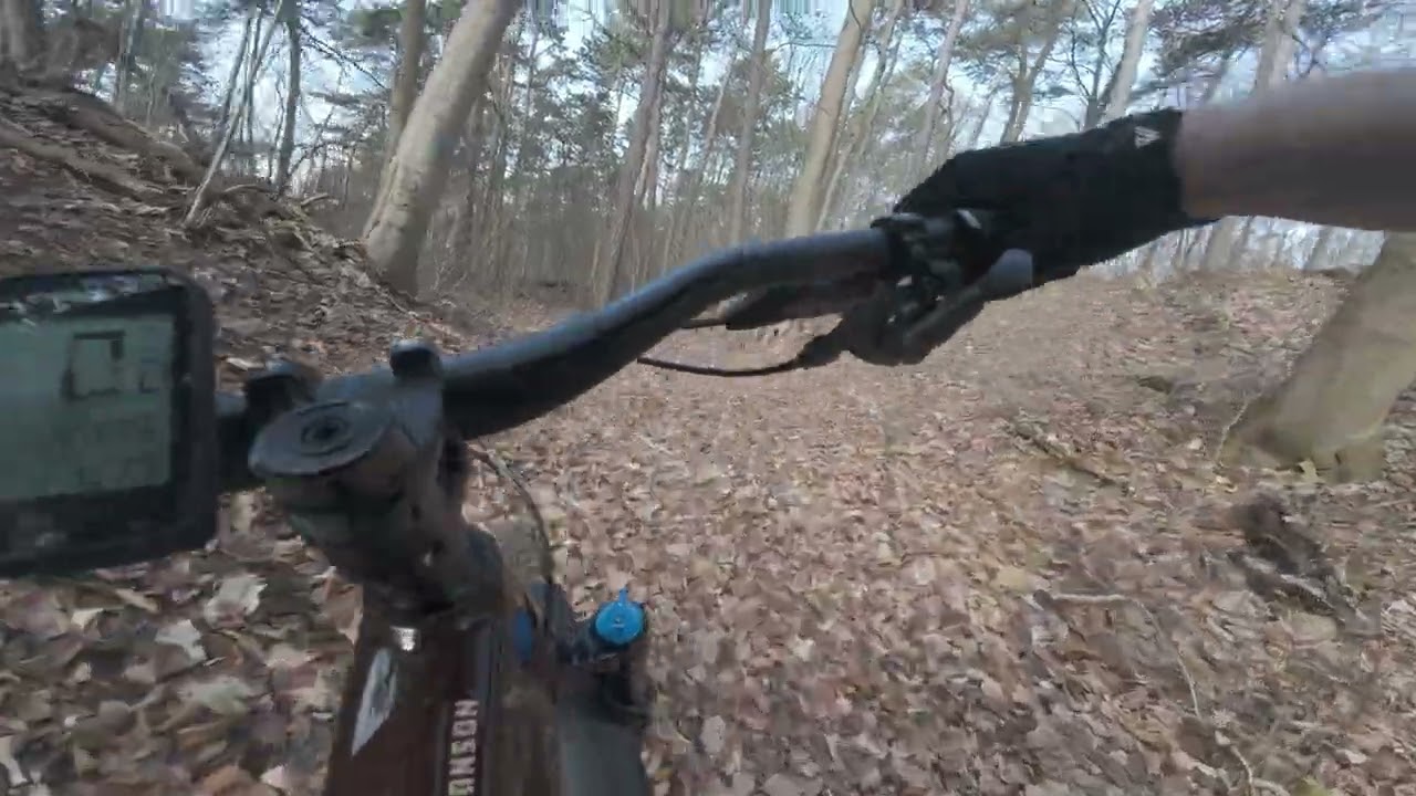 DJI 20260226131841 0009 D