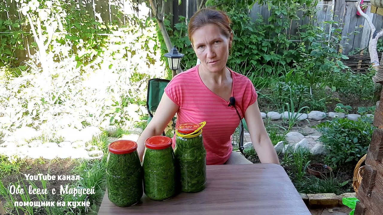 РЕЦЕПТ ДОЛГОЛЕТИЯ ЧИСТЫЕ СОСУДЫ ОМОЛОЖЕНИЕ ОРГАНИЗМА ХВОЙНИКАМИ НАРОДНЫЕ СРЕДСТВА