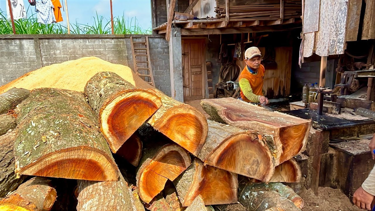 Black Trembesi Wood Found in a Remote Village, Ready for Sawmilling.