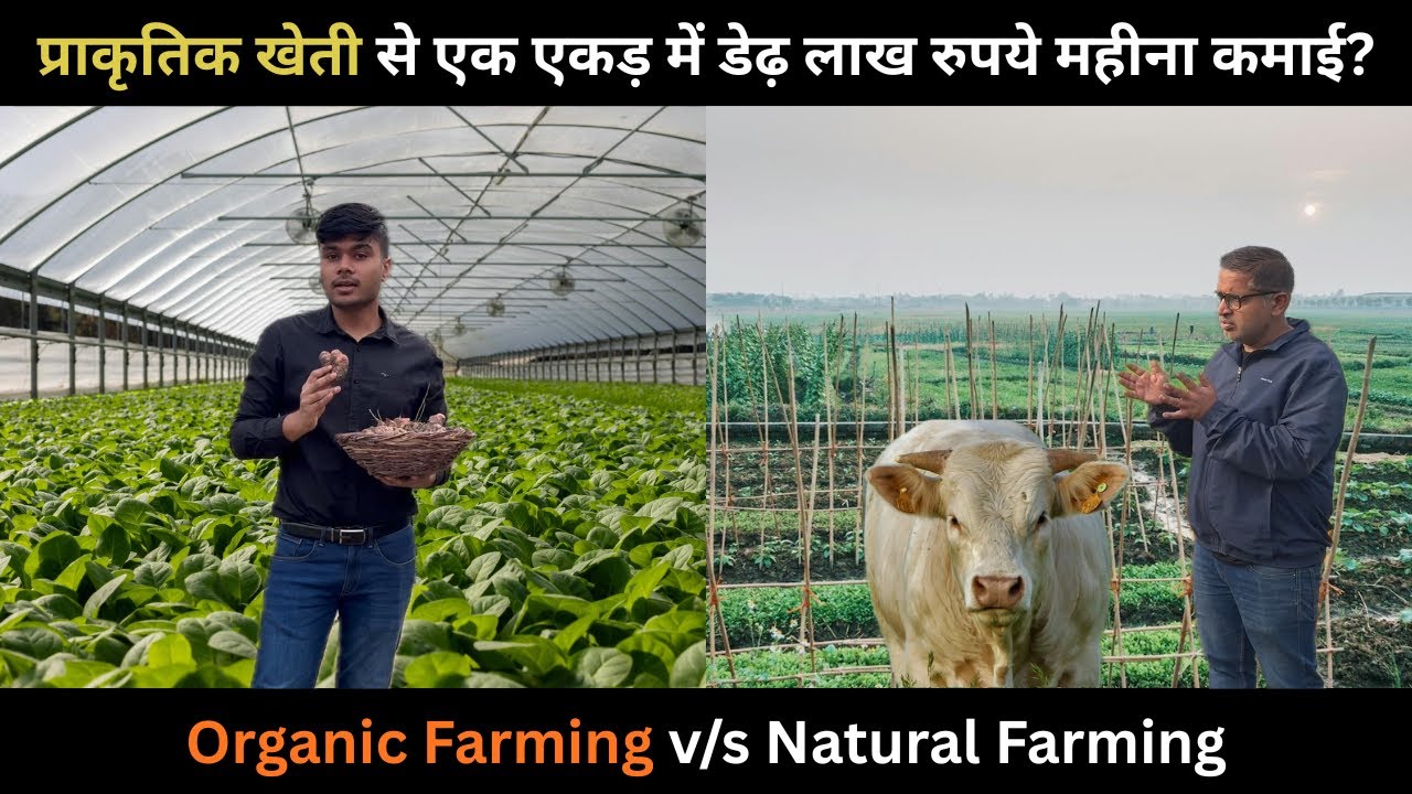 जानें जैविक खेती और प्राकृतिक खेती का अंतर | Subhash Palekar Natural Farming