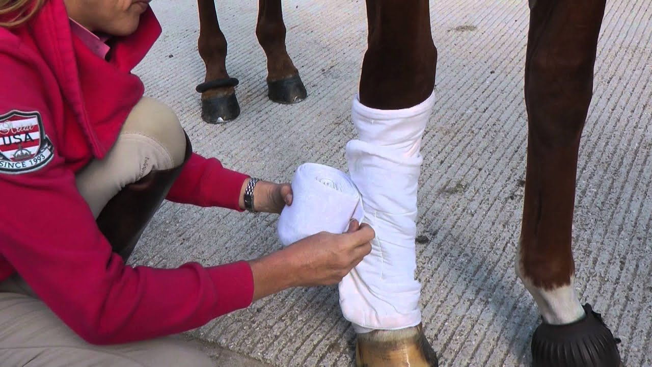 Jo Jackson's Top Tips | How to Bandage a Leg | Horse&Rider Magazine