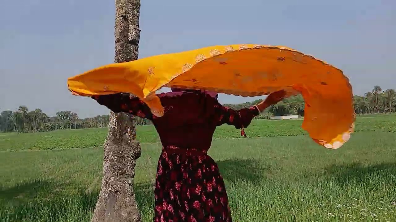 গ্রামের দৃশ্য অসাধারণ ভিডিওটি শেষ পর্যন্ত দেখবেন মজা আছে 🥰🥰