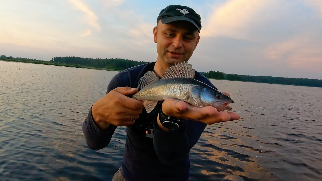 Рыбалка с ночёвкой на озере Kaiu j&auml;rv. Дешёвый кемпинг. Поймали судака. Извлечение крючка из тела.