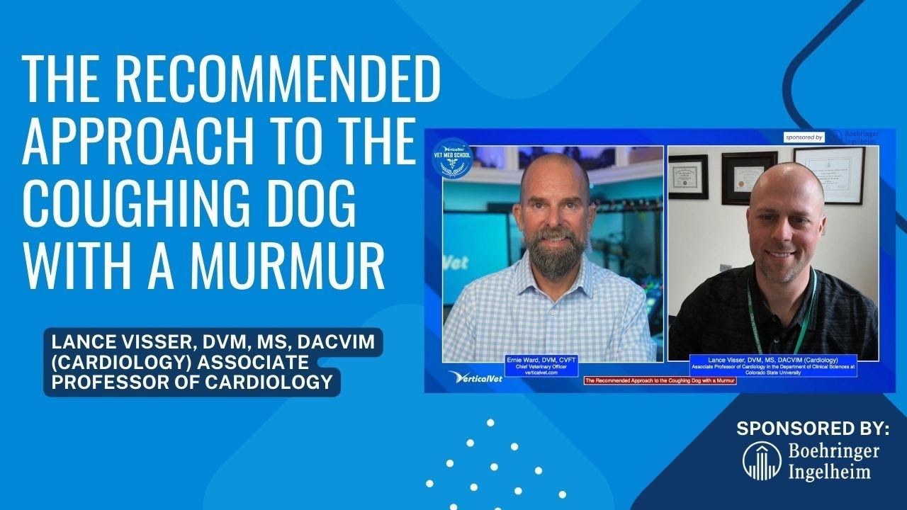 The Recommended Approach to the Coughing Dog with a Murmur - Brought to you by Boehringer Ingelheim