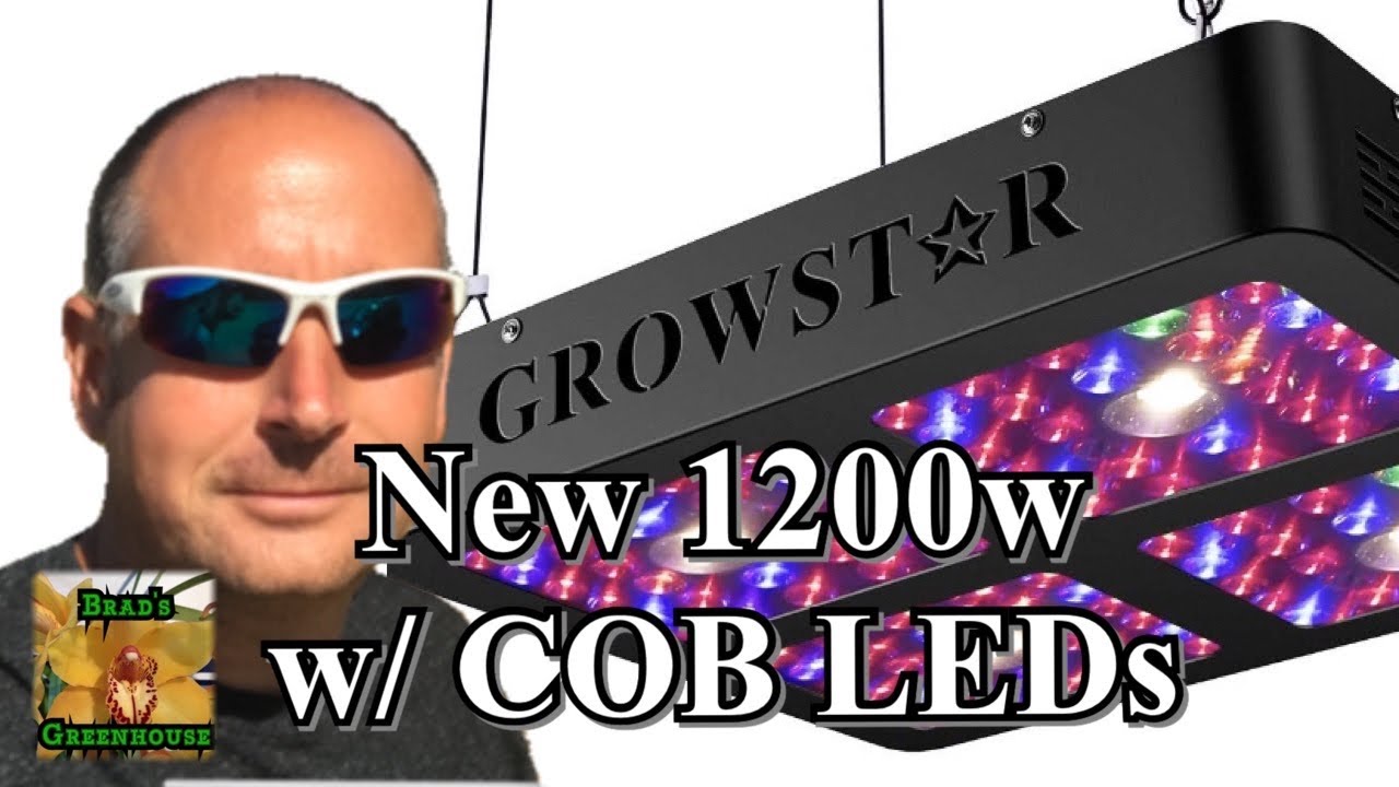 GROWSTAR 1200w CREE COB LED  Indoor Plant Grow Light: First Look + Par Test & Foot Candles Measured