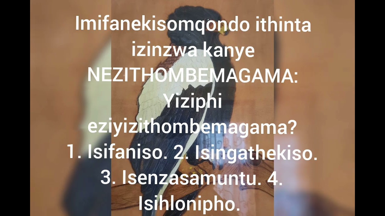 UKUHLUZA INKONDLO: Izifenqo (ISAKHIWO SANGAPHAKATHI)