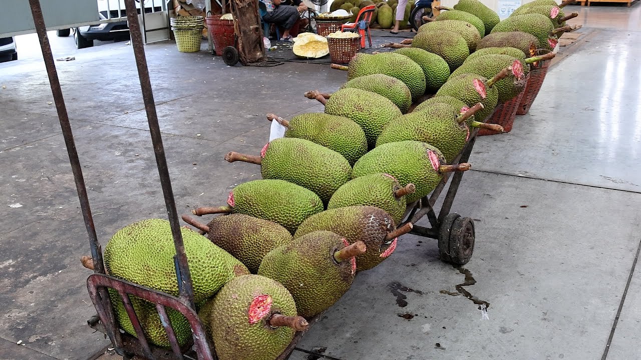 So Satisfying! Fresh Jackfruit Cutting Skills