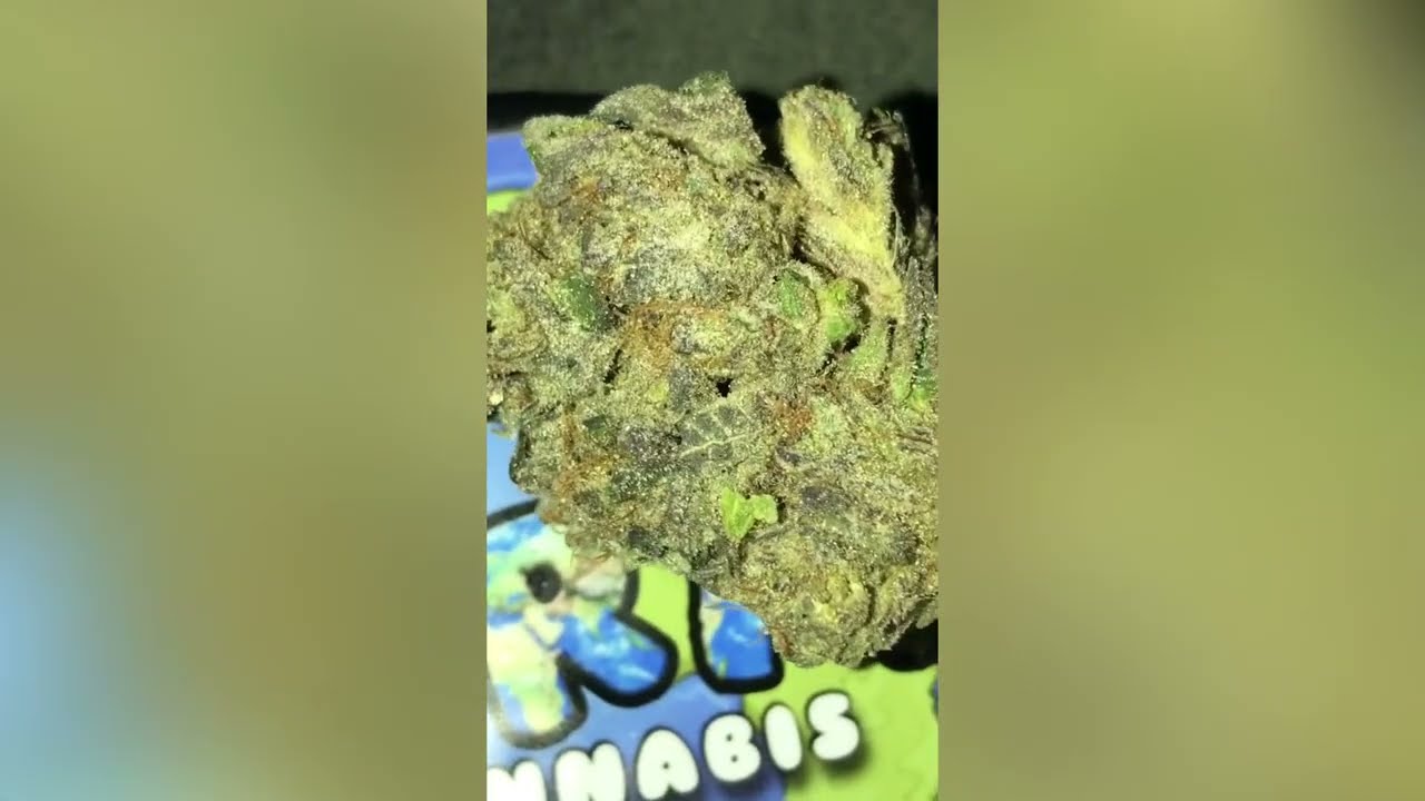 Kush & OJ Strain Review (Smk Brk 420)
