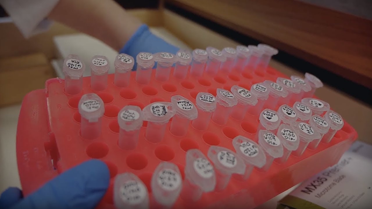 Transforming Neuromuscular Disease | The Future of Gene Therapy