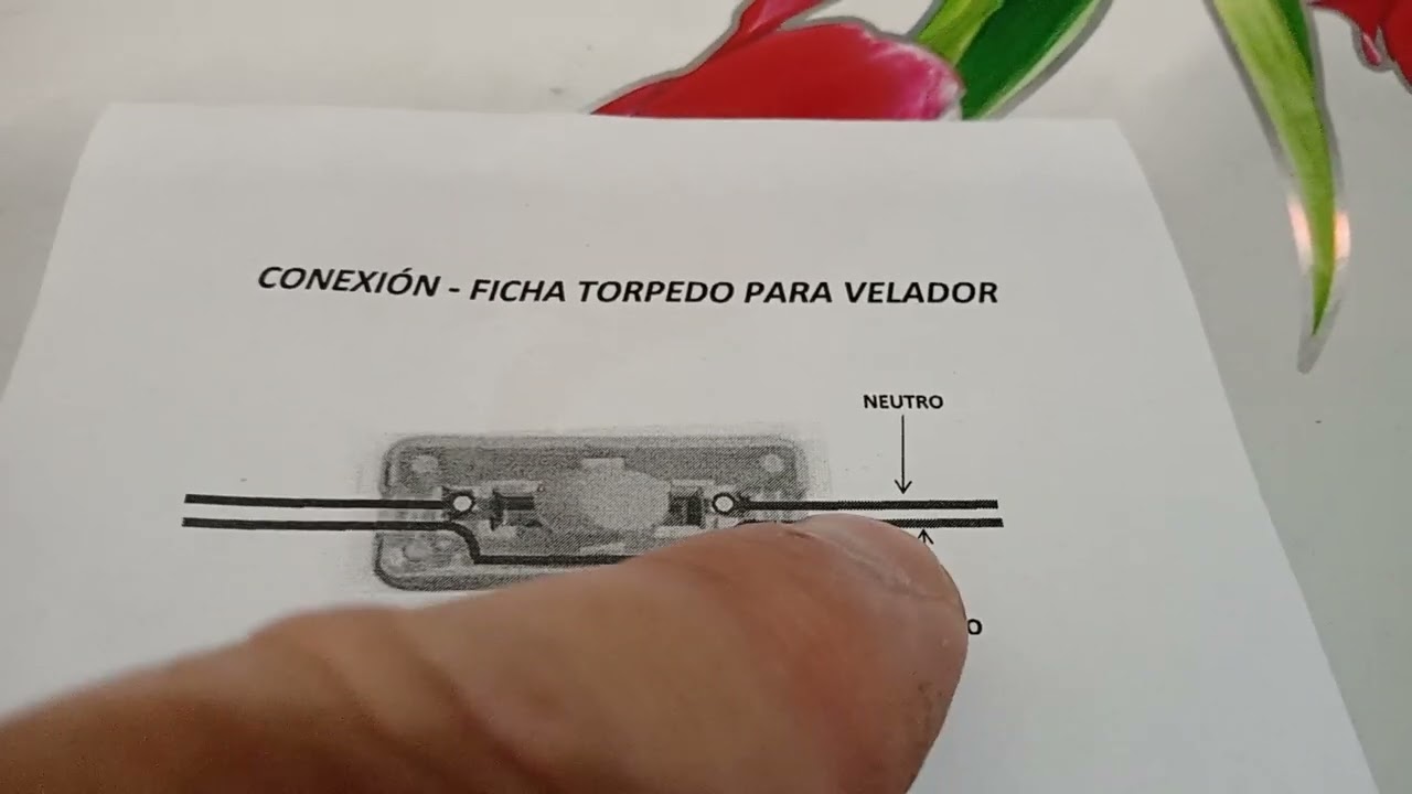 Errores básicos en instructivo 👀