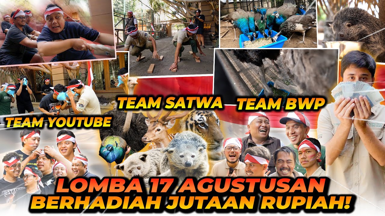 LOMBA 17 AGUSTUSAN ! TIM PENANGKARAN VS SATWA2 ! JINORA IKUTAN JUGA ?! SIAPA YANG PEMENANGNYA ?!