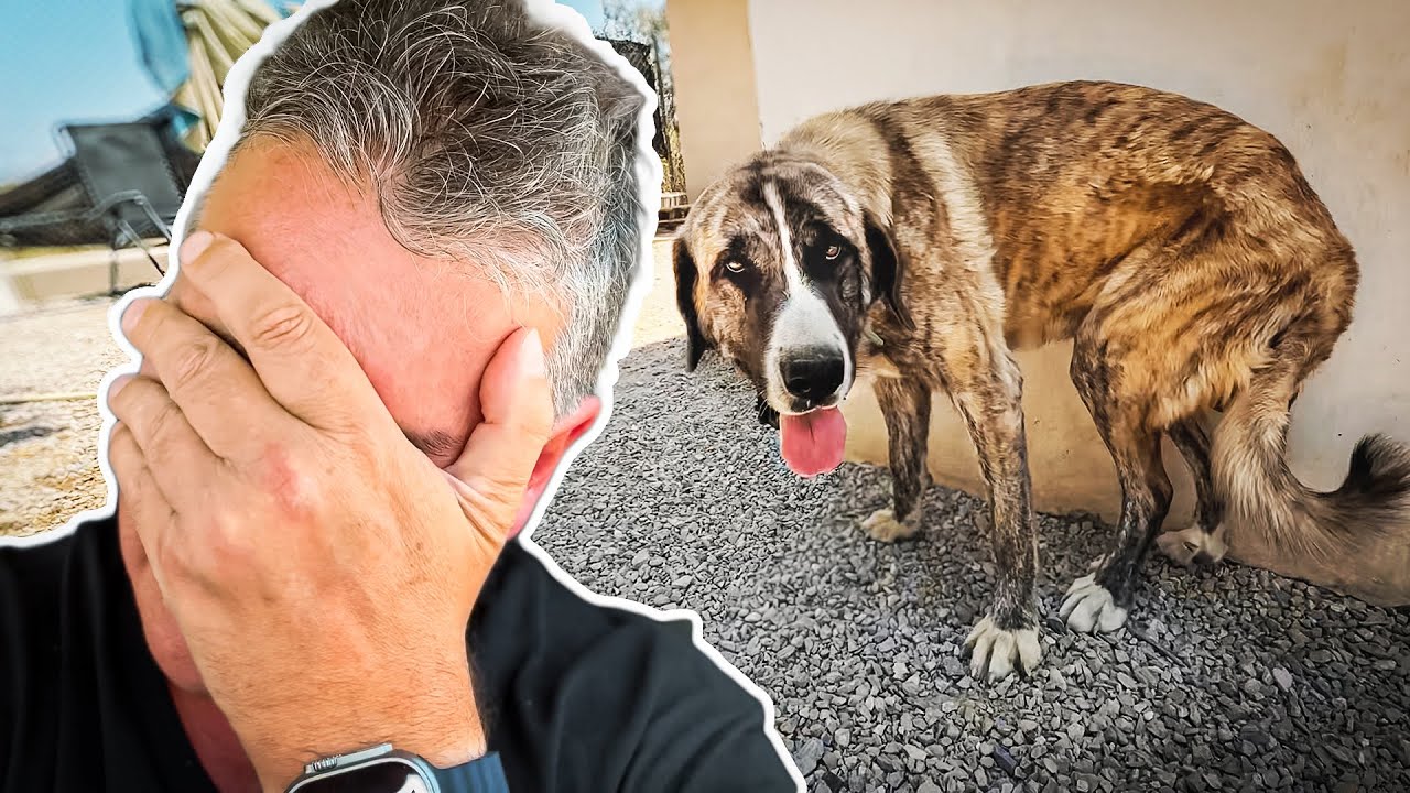 Le prometieron ayuda… y lo dejaron morir en vida!