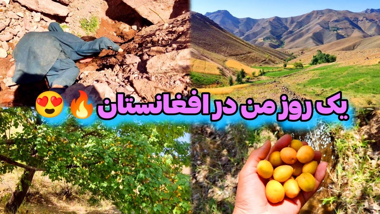 یک روز پر ماجرا در دایکندی افغانستان🔥 بعد از خستگی در کردن سفرم😍