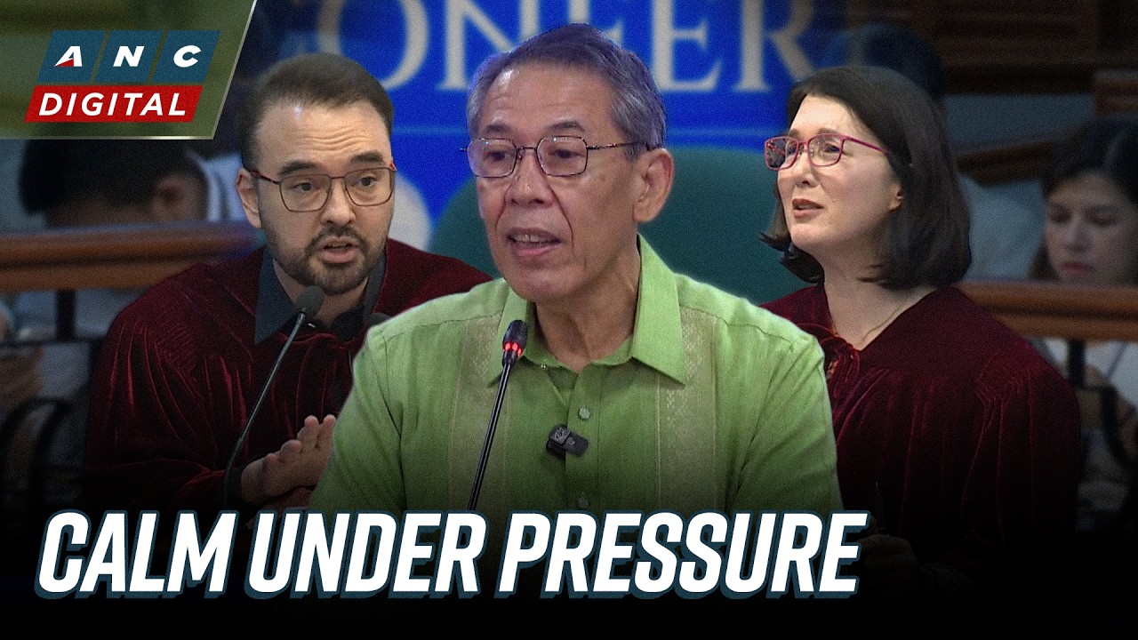 'Teacher ng mga Cayetano?': Diokno says teaching experience kept him calm under questioning | ANC