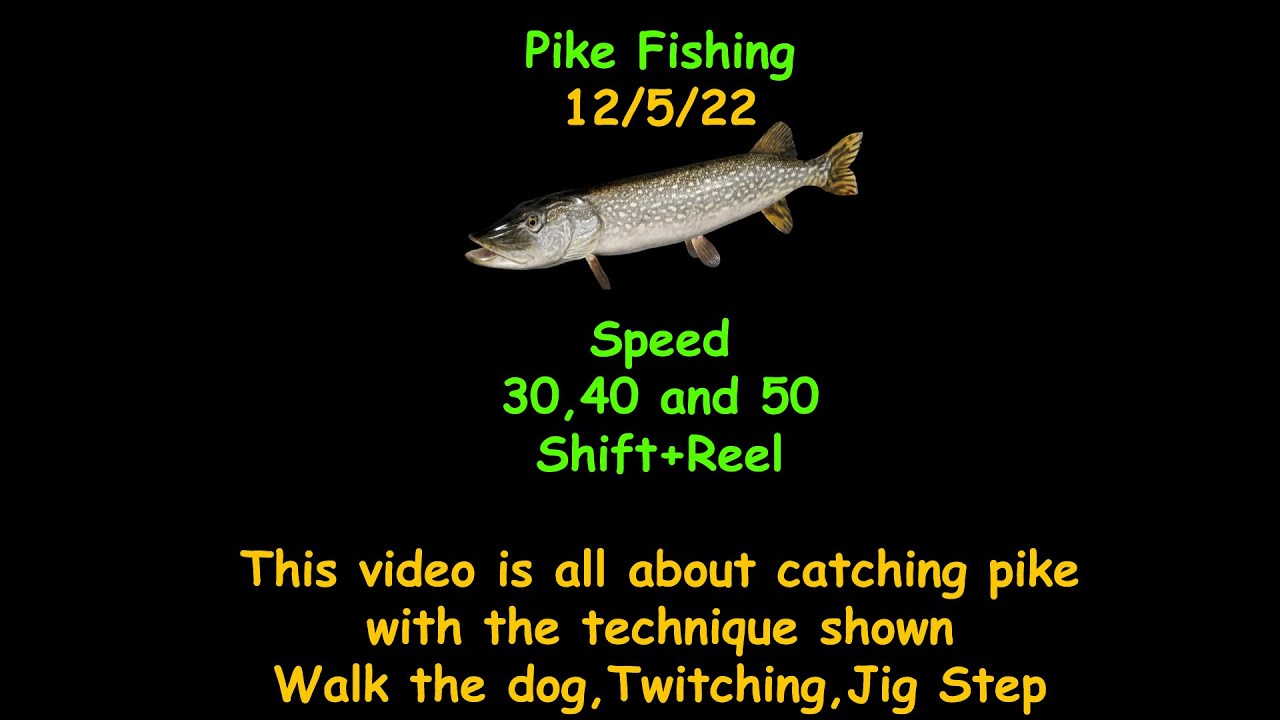 Russian Fishing 4 How to Pike Fish