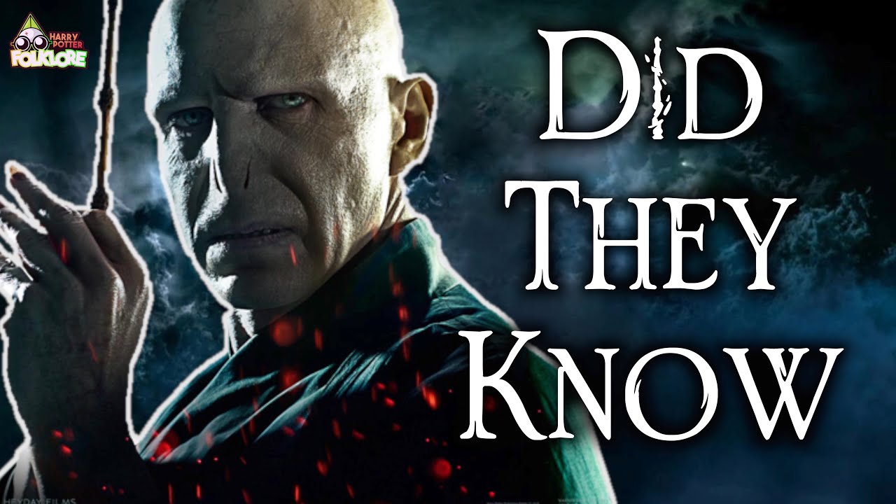Did The Death Eaters Know Voldemort Was Half Blood? Did They Know He Was Tom Riddle?