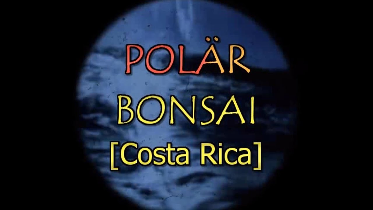 Polär - Bonsai [karaoke]