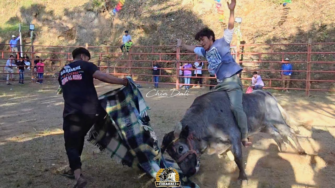 SANTUARIO DE LA CRUZ VERDE SAN ANDRES YAA JARIPEO TRADICIONAL 2025