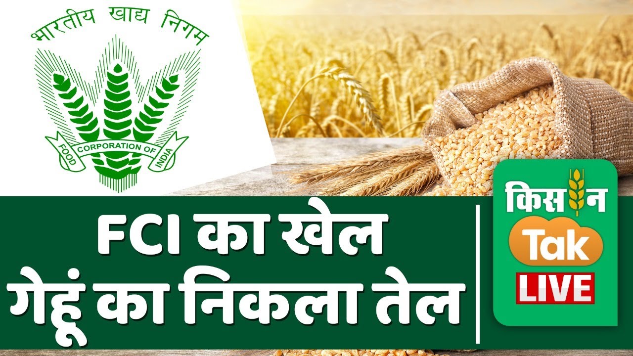 Live: Wheat Price का क्या हाल, FCI की OMSS से कैसे ब‍िगड़ी बाजार की चाल! Kisantaklive