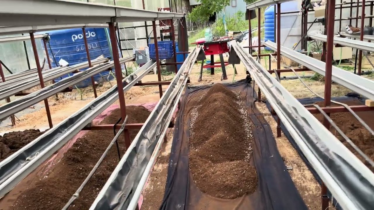 Topraksız Tarım 19 - Kokopit ( Cocopeat ) Temizliği 2. Aşama