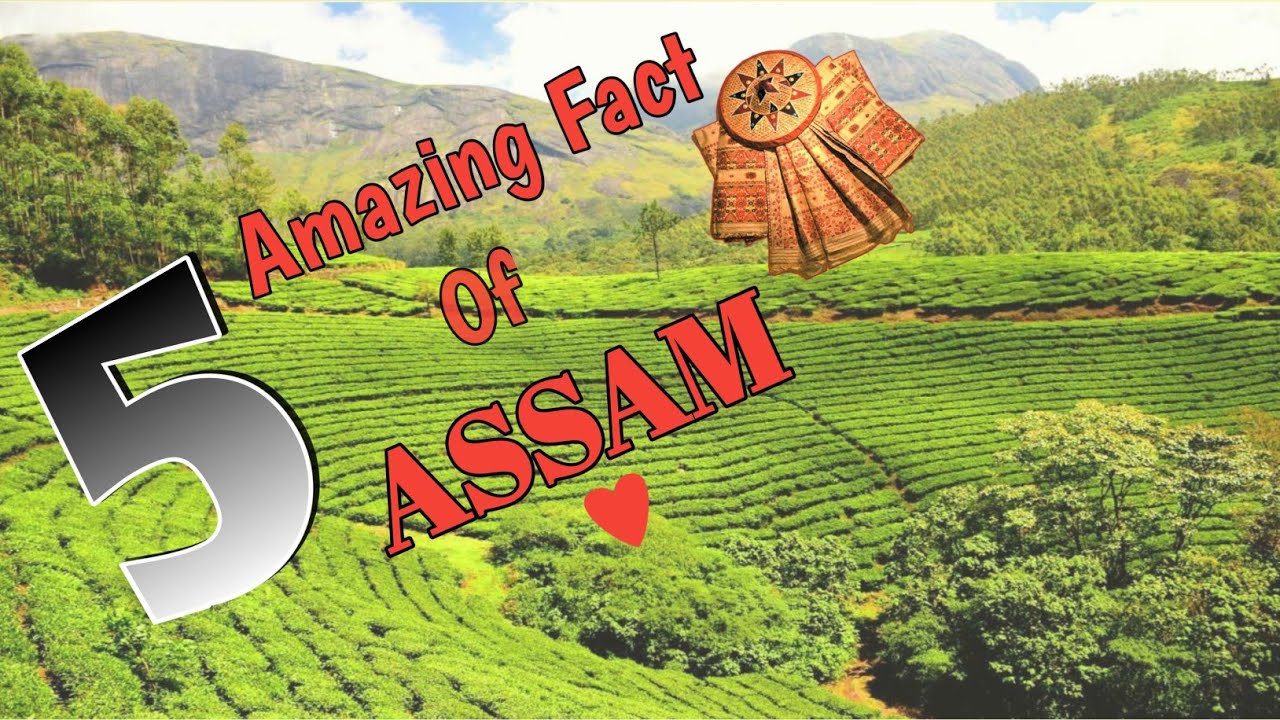 Amazing Fact Of Assam ❤️😱#shorts #assam