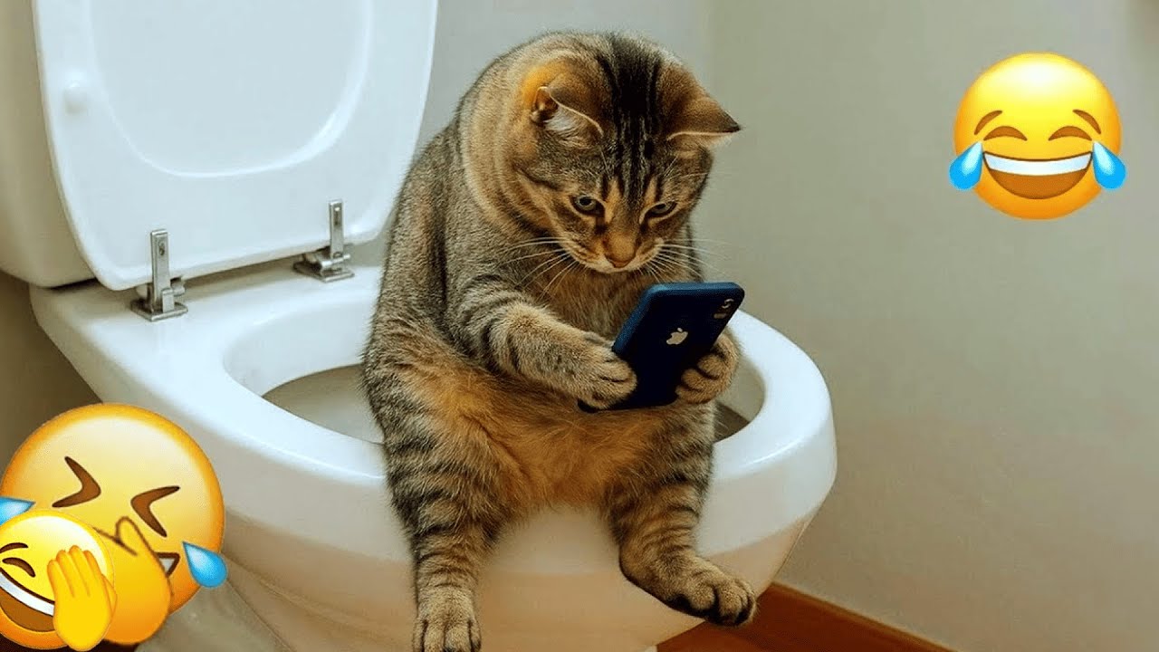 You Laugh You Lose 🤩 Funniest Cats and Dogs 2026😺🐶 Part 6