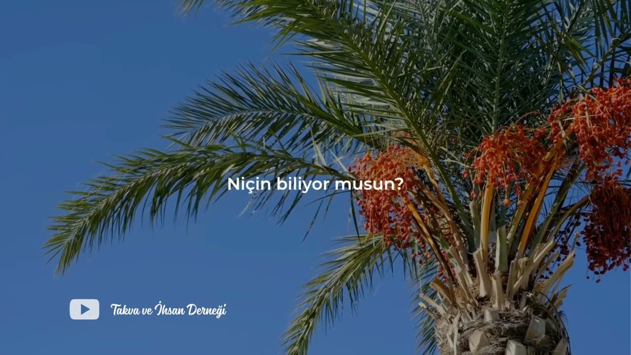 Şaban ayı.... Şeyh Hasen Buhari