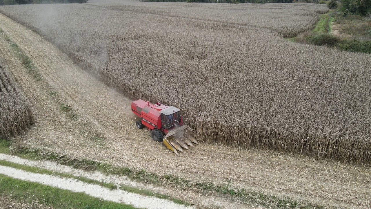 Αλώνισμα Μάντης 2020 Mais harvest Mantis 2020
