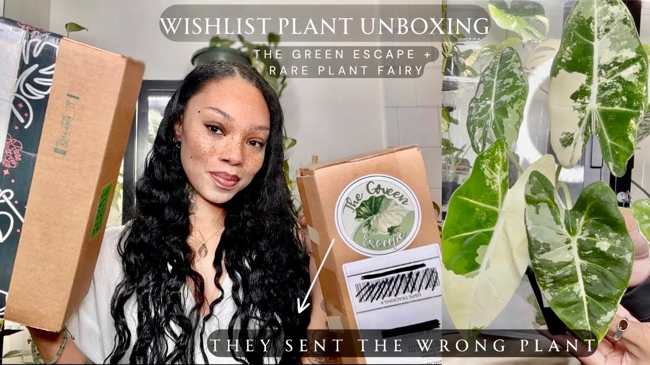 🌿 The Green Escape + Rare Plant Fairy Unboxing |🌿 Wishlist Plant Mail | Plant Haul Houseplant 2024