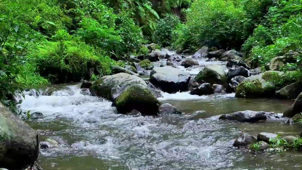 Hold onto calm with peaceful river ambience along soft forest water stabilizing deep sleep