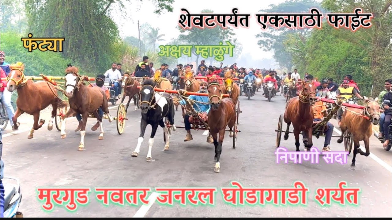 मुरगुड नवतर जनरल घोडागाडी शर्यत❤️👑 🥇धीरज कोळी 🥈अक्षय म्हाळुंगे 🥉निपाणी सदा