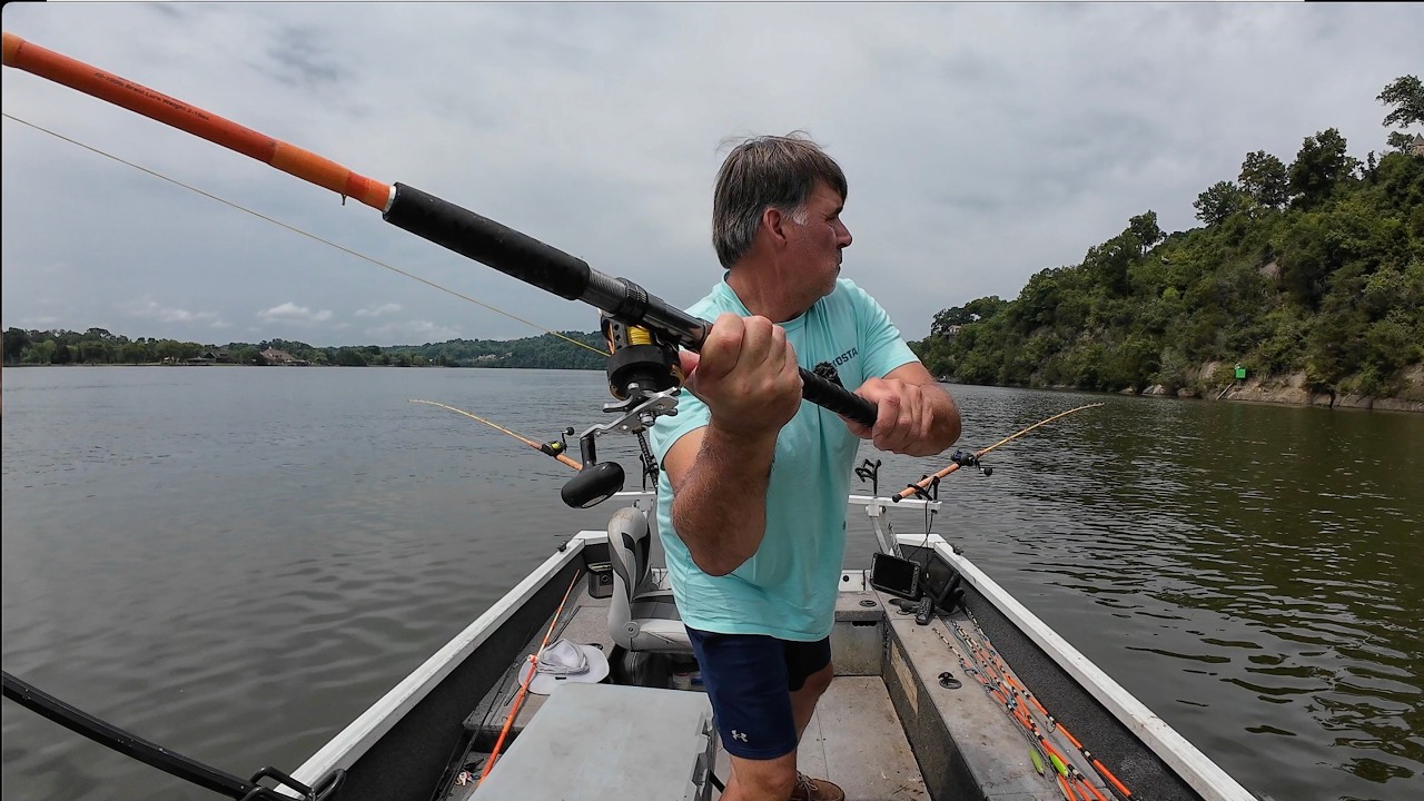 This Is How You Catch Catfish