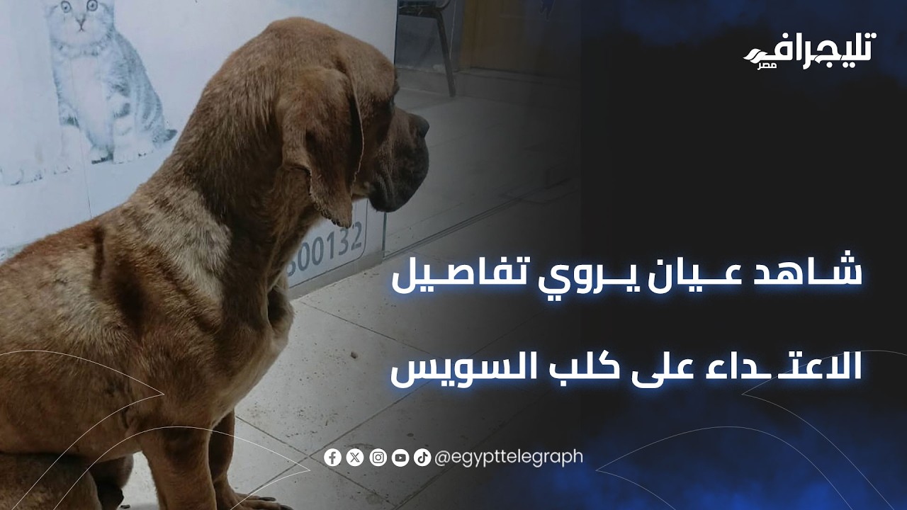 شاهد عيان يروي تفاصيل الاعتـ ـداء على 