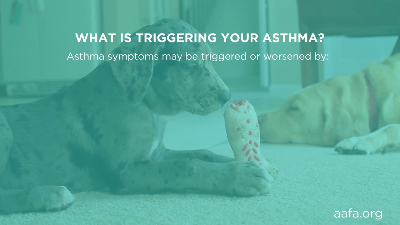 Understanding Asthma Triggers