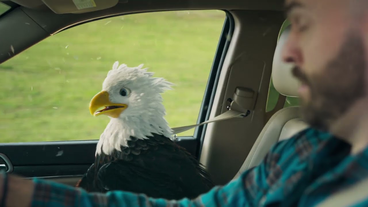 Feathers a Flyin' &mdash; Marathon Fuel