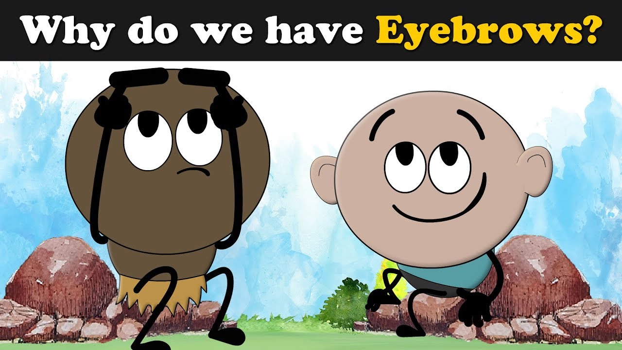 Why do we have Eyebrows? + more videos | #aumsum #kids #science #education #children