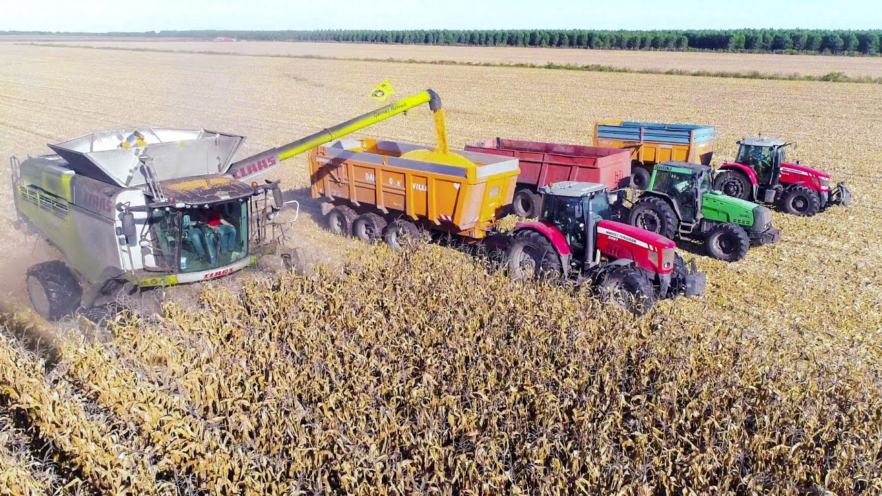 XXL MOISSON ma&iuml;s in FRANCE - Claas Lexion 780 TT & Gros Mat&eacute;riel ! [4K]