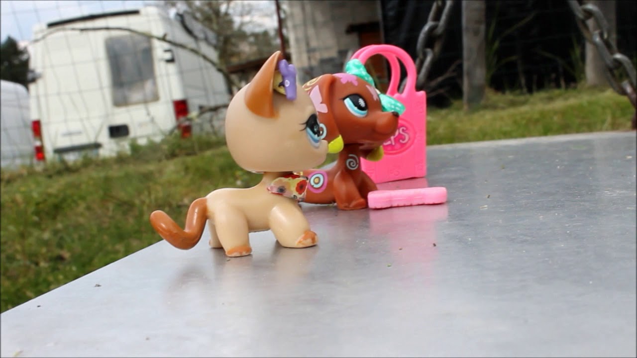 vidéo petshop