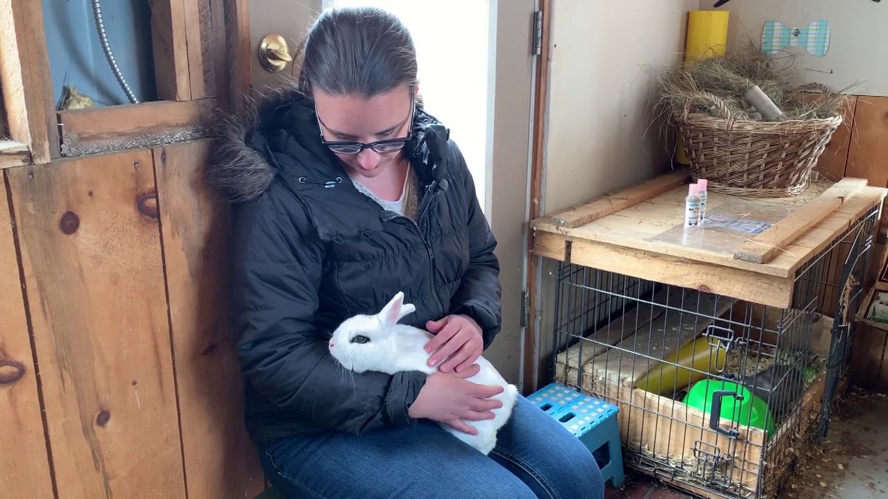Dragonfly Haven Therapeutic Farm, in Nova Scotia