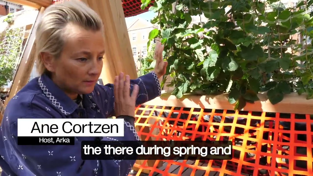 Plants Optimized for Healthier Cities - Stefan Diez