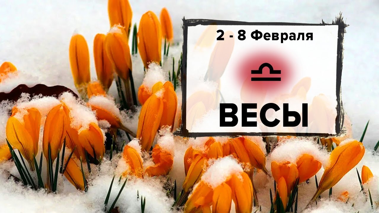ВЕСЫ ♎ 2 - 8 Февраля 2026 | Расклад таро на неделю для знака Зодиака Весы