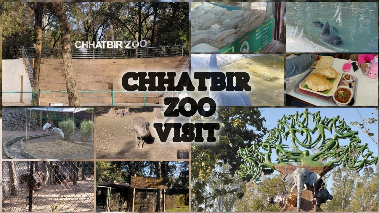 Zoo visit after 5 years... Saggu Family Vlogs 