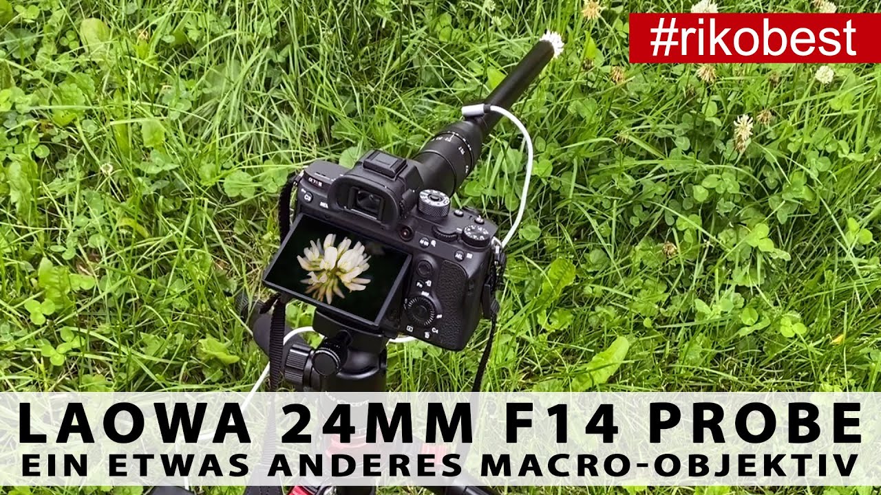 Laowa 24mm f/14 Probe Makro Linse - Eine Revolution für die Fotografie und Makro-Videografie?