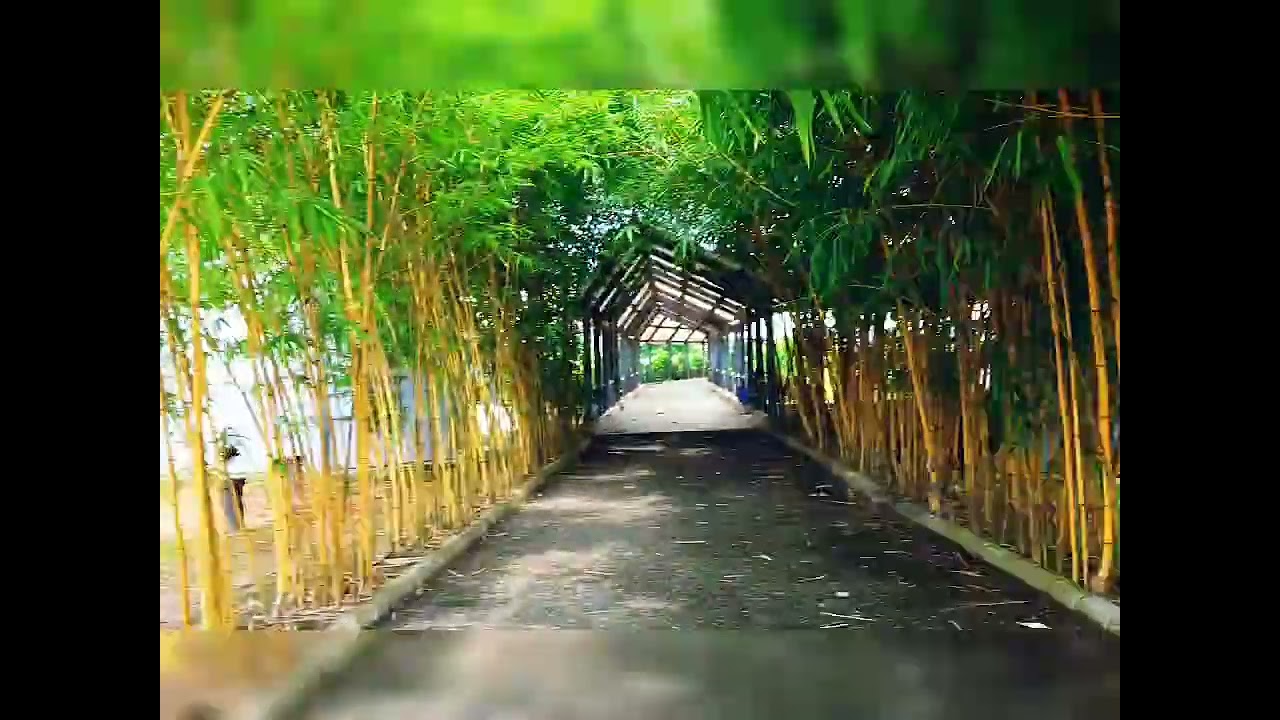 Explore the beauty of TISS Guwahati world class campus, Assam📙🎓📚.