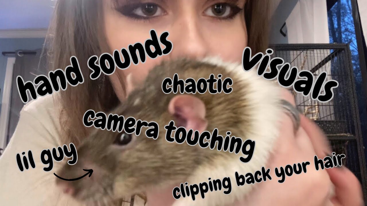ASMR| hand sounds & visuals (fast & aggressive, ft. my rat Goose)💗⭐️
