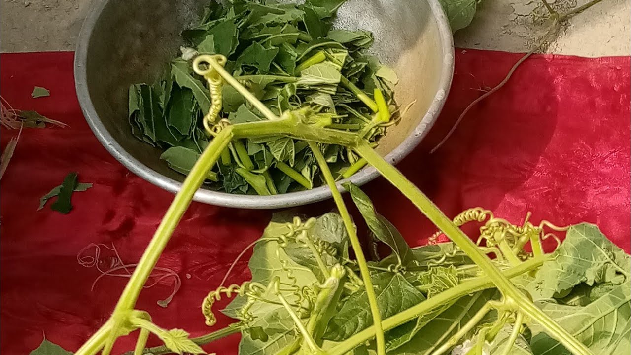 মন ভালো থাকলে সব কিছু ভালো লাগে।