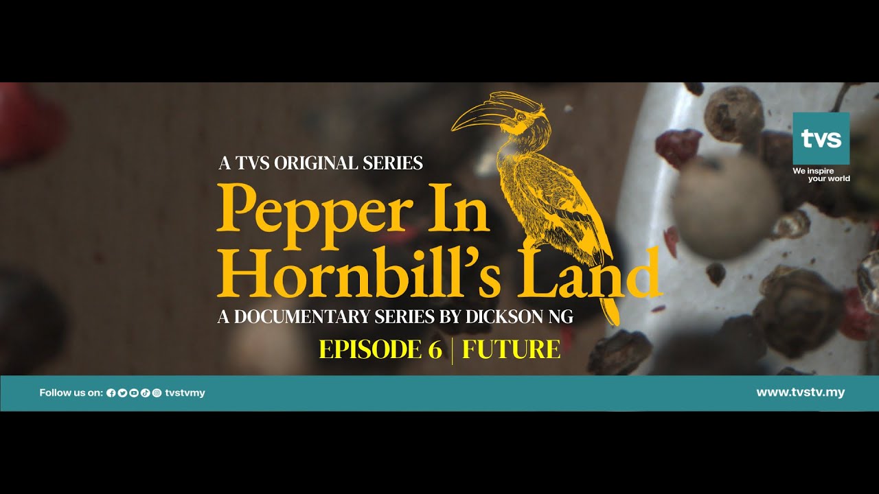 Future | Episode 6 - Pepper In Hornbill's Land