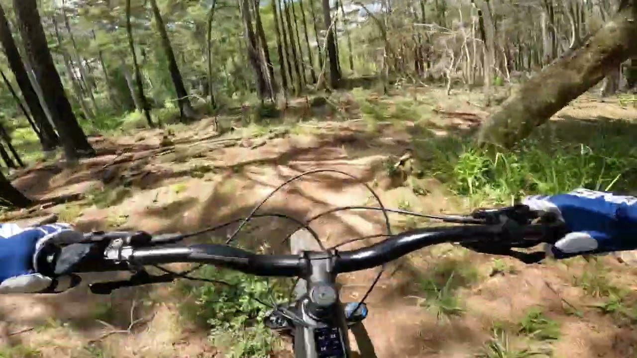 Bogue Chitto Zephyr Ride