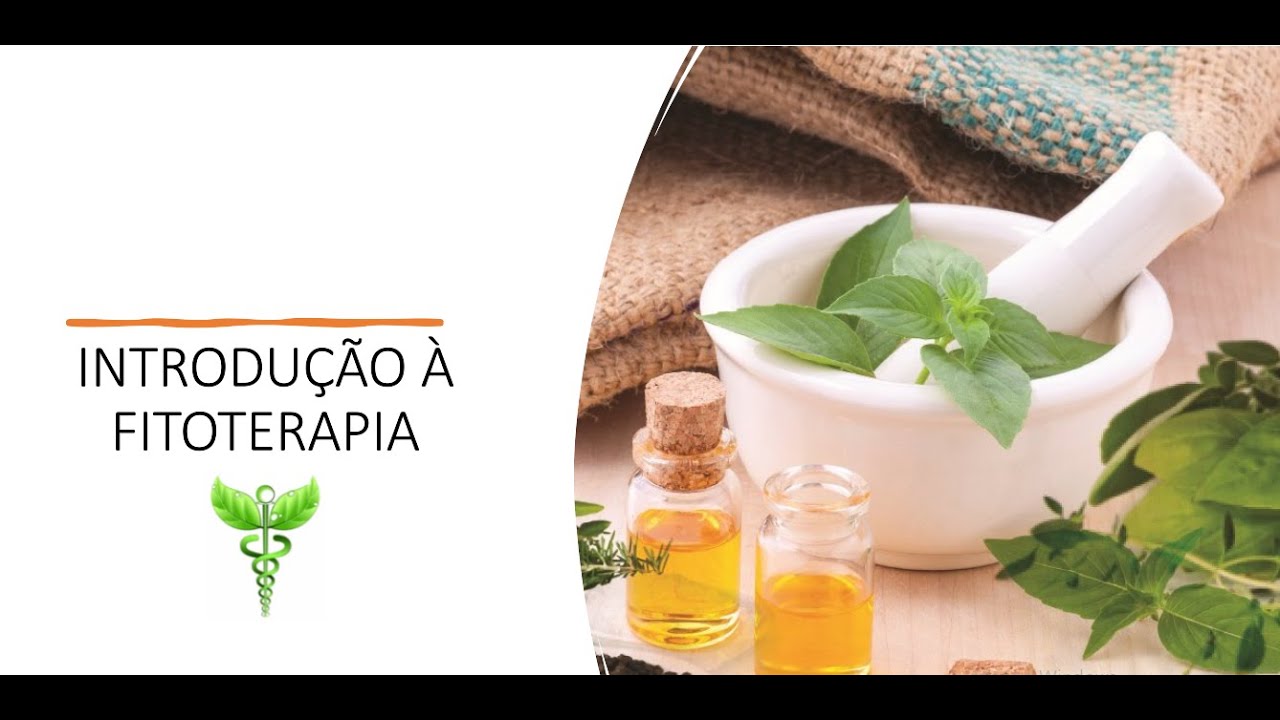 Fitoterapia introdução