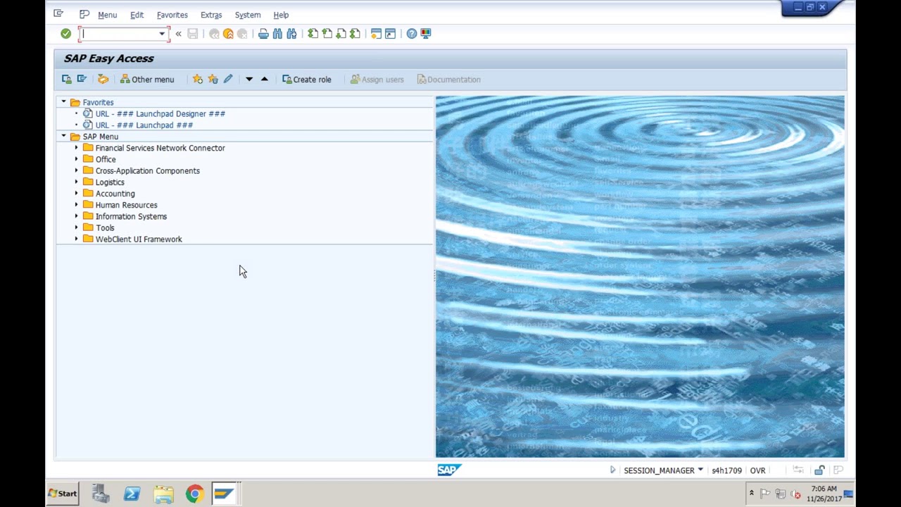 FSCM  Collections and Dispute management 1